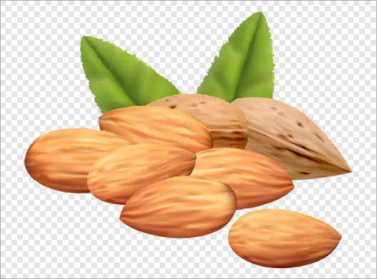 فایل png دوربری شده بادام سنگی بصورت ترانسپرنت