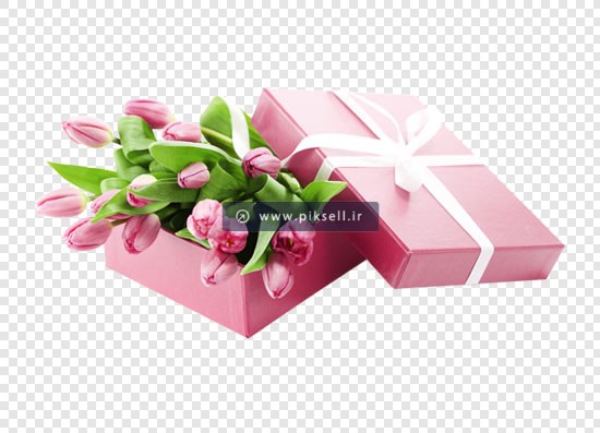 فایل png دوربری شده جعبه کادو و گل های لاله صورتی