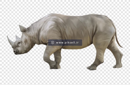 تصویر دوربری شده گراز وحشی با فرمت png