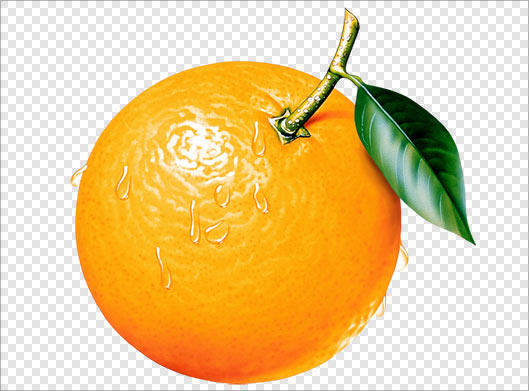 فایل png بدون زمینه پرتقال نارنجی بصورت ترانسپرنت