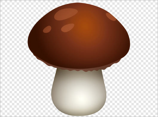 فایل ترانسپرنت دوربری شده قارچ با پسوند png