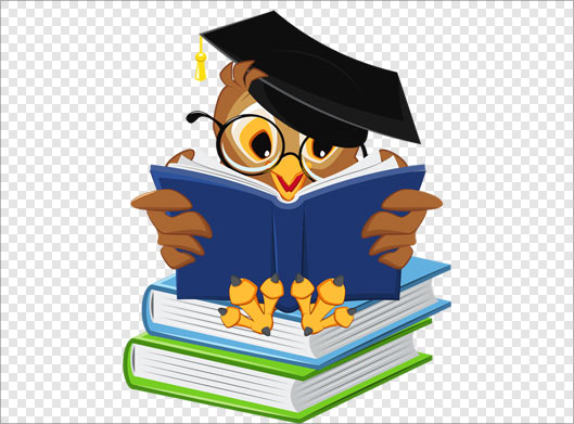 فایل دوربری شده شخصیت کارتونی جغد در حال مطالعه روی کتاب