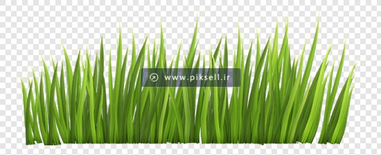 فایل دوربری شده چمن زار سبز با فرمت png