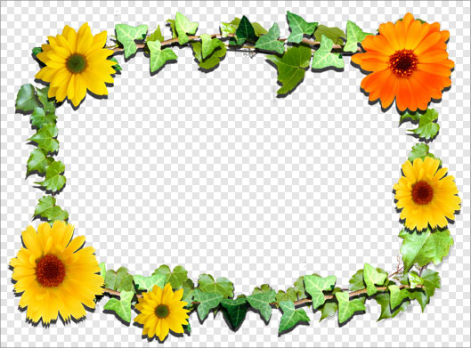 فایل png فریم و قاب با طرح گلهای زیبا و برگ
