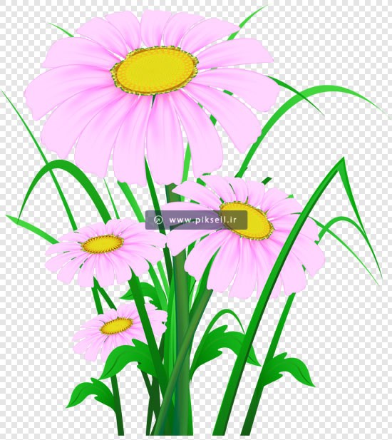 فایل png گلهای زیبای صورتی رنگ بصورت دوربری شده