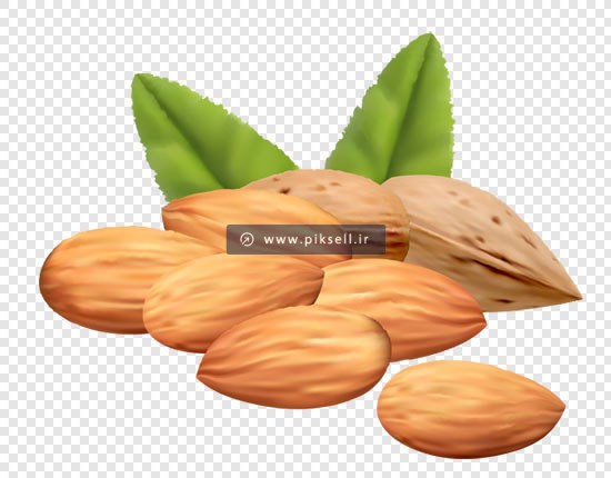 فایل png دوربری شده بادام سنگی بصورت ترانسپرنت