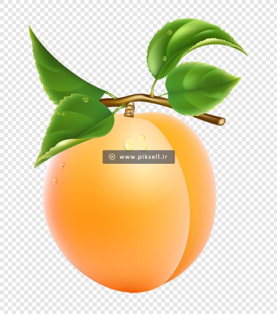 دانلود فایل png بدون زمینه هلو بصورت ترانسپرنت