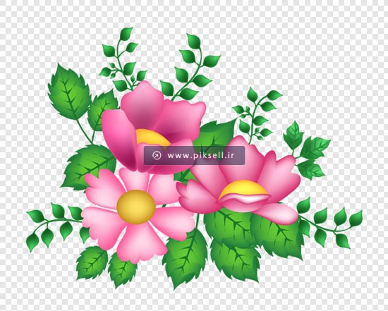 دانلود فایل png گلهای صورتی رنگ بصورت ترانسپرنت