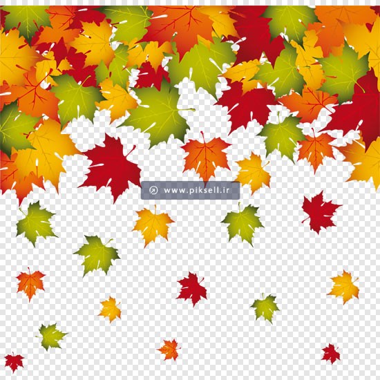 فایل png مجموعه برگ های پاییزی درخت چنار