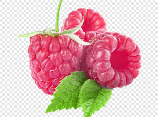 فایل png دوربری شده تمشک (ترانسپرنت و بدون بکگراند)
