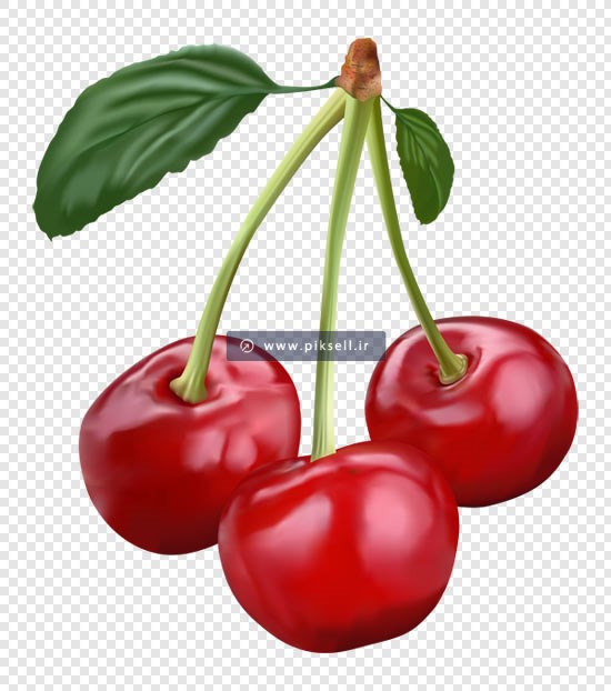 فایل png دوربری شده آلبالو گیلاس بصورت ترانسپرنت