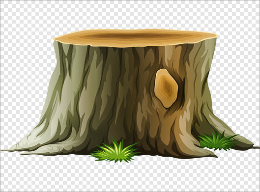 فایل png تنه درخت بصورت گرافیکی دوربری شده