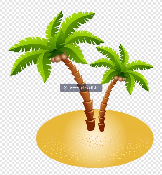 فایل دوربری شده درخت نارگیل در جزیره