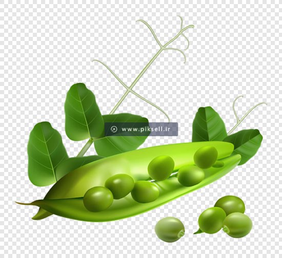 فایل ترانسپرنت خود فرنگی های خوراکی با پسوند png