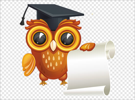 فایل png کاراکتر کارتونی جغد بصورت ترانسپرنت