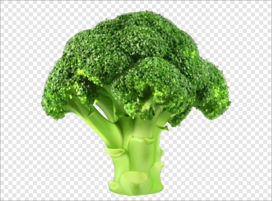 فایل png دوربری شده کلم بروکلی سبز بصورت ترانسپرنت