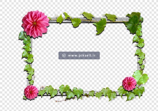 فایل دوربری شده قاب با گل های صورتی و کادر سبز