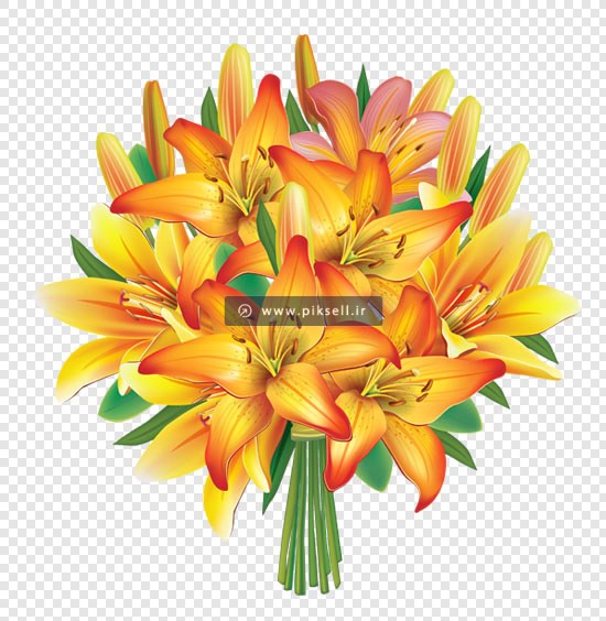 دانلود فایل png بدون زمینه دسته گل های زیبای لیلیوم زرد