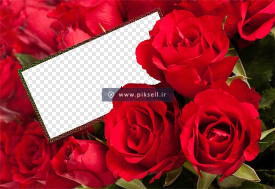 فایل دوربری شده قاب و فریم و قاب با طرح گلهای رز قرمز با پسوند png