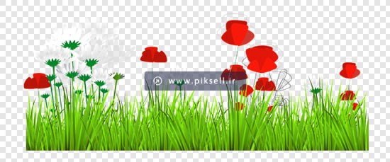 فایل png چمن زار و گل های شقایق بصورت دوربری شده