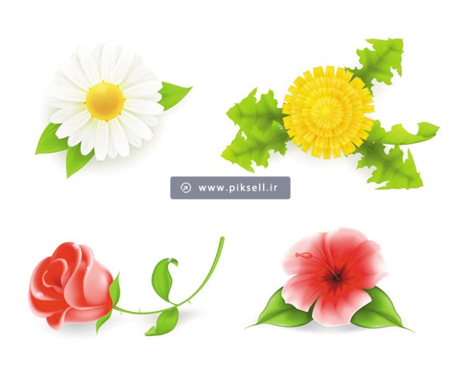 وکتور مجموعه گله ای جعفری ، رز ، داوودی و اطلسی