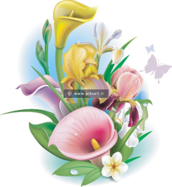 وکتور دسته گل های زیبای لیلی با فرمتهای eps و ai