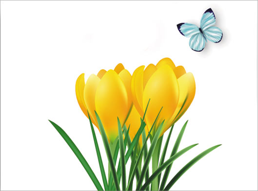وکتور پروانه و گل های لاله زرد رنگ