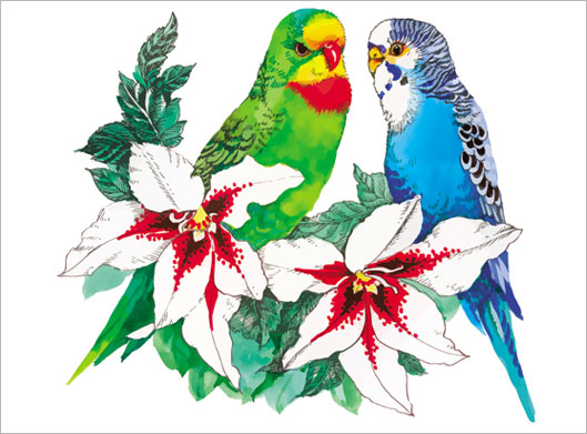 وکتور گرافیکی با طرح گل و طوطی های نقاشی شده