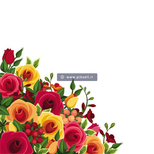 وکتور دسته گلهای تزئینی رز رنگی بصورت گوشه ای