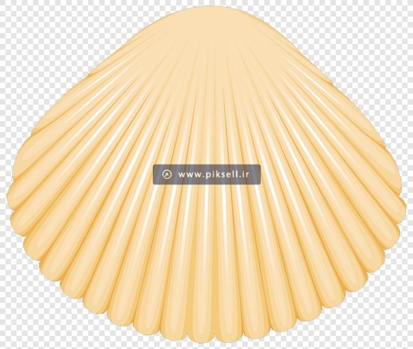 فایل png صدف بصورت گرافیکی و دوربری شده