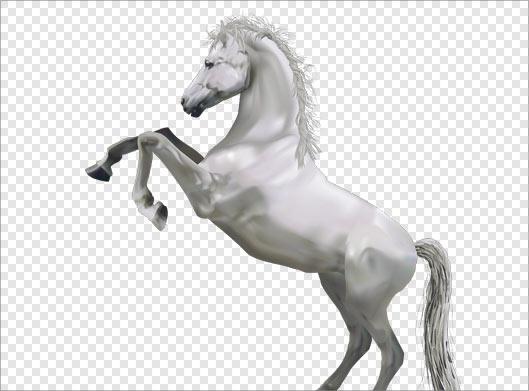 فایل Png دوربری شده اسب بصورت ترانسپرنت بدون زمینه