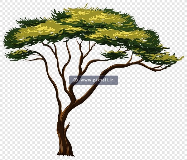 دانلود فایل دوربری شده درخت با پسوند png
