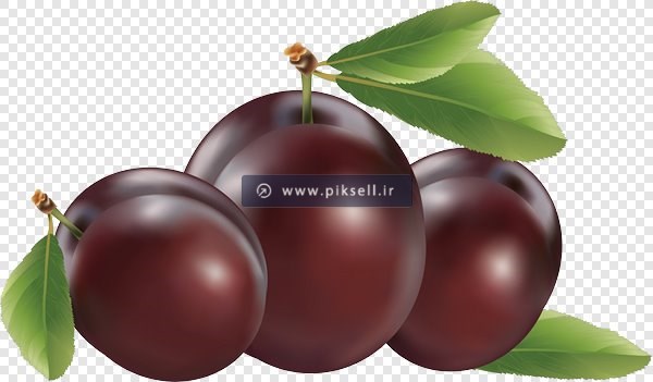 دانلود فایل png آلوسیاه بصورت دوربری شده