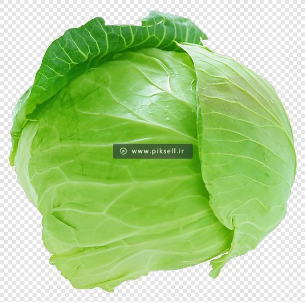 فایل دوربری شده png کلم سبز بصورت ترانسپرنت