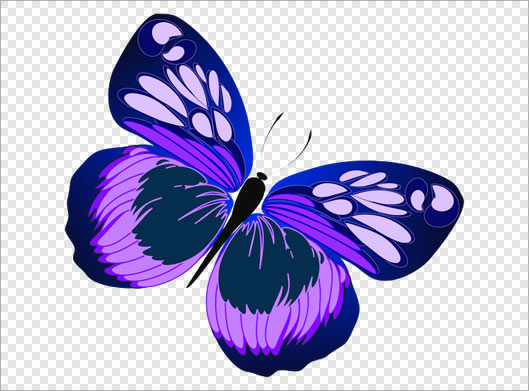 فایل دوربری شده پروانه بنفش رنگ با پسوند png