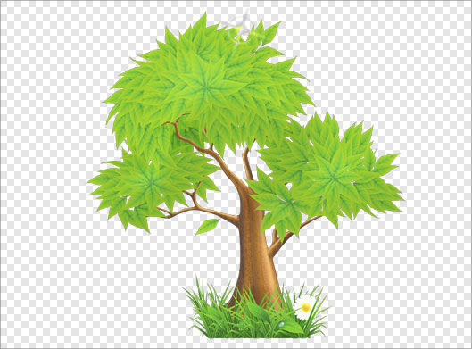 دانلود فایل png درخت سبز بصورت دوربری شده