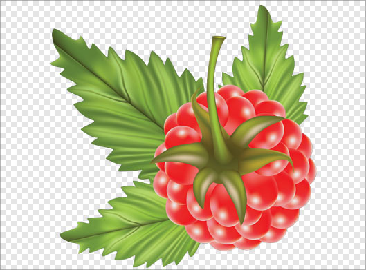 تصویر دوربری شده تمشک یا توت فرنگی با فرمت png