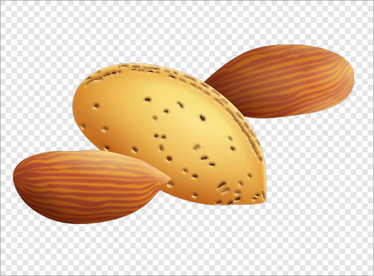 فایل دوربری شده بادام درختی و مغز آن با فرمت png