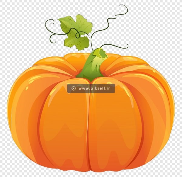دانلود فایل png کدو تنبل نارنجی بصورت ترانسپرنت