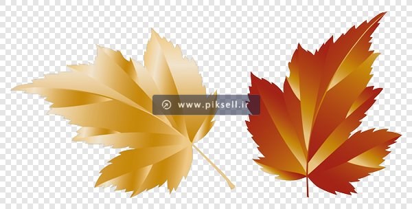 فایل png برگهای پاییزی خشک شده بصورت ترانسپرنت