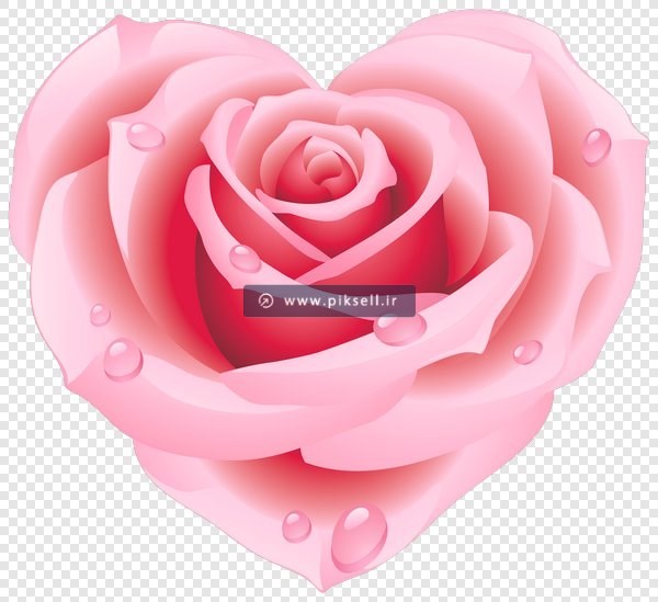 دانلود فایل png قلب با طرح گل رز صورتی