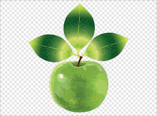 فایل png دوربری شده سیب سبز و برگ سبز