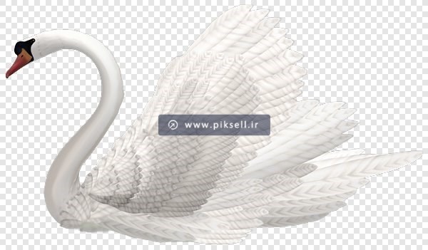 فایل png دوربری شده قوی سفید