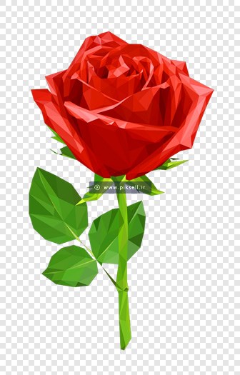 فایل png شاخه گل رز قرمز بصورت دوربری شده