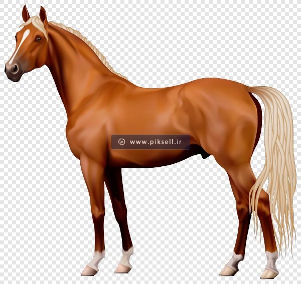 دانلود فایل png اسب قهوه ای بصورت دوربری شده