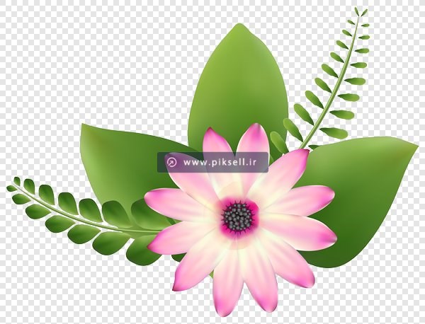 دانلود فایل png گل و برگ زیبا بصورت ترانسپرنت