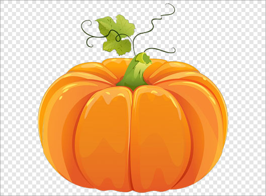 دانلود فایل png کدو تنبل نارنجی بصورت ترانسپرنت