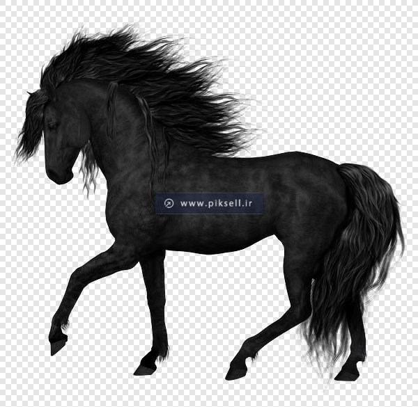دانلود فایل png دوربری شده اسب سیاه