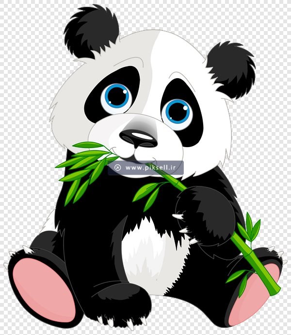 دانلود فایل png پاندای نشسته بصورت دوربری شده