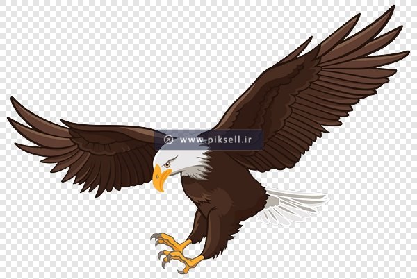 فایل png عقاب سیاه در حال پرواز